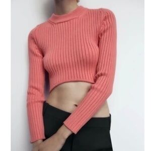 Zara Thick Ribbed Knit Crop Top – Pink/Coral (Size S)